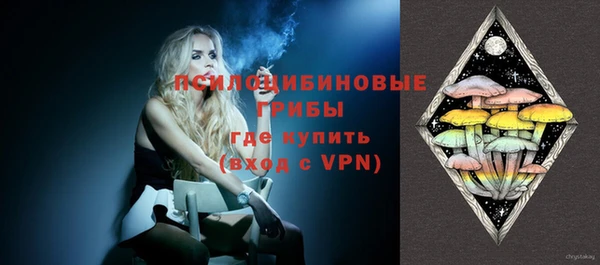 spice Белокуриха