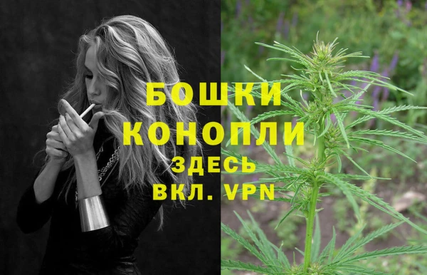 spice Белокуриха