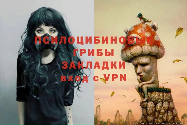 сатива Белоозёрский