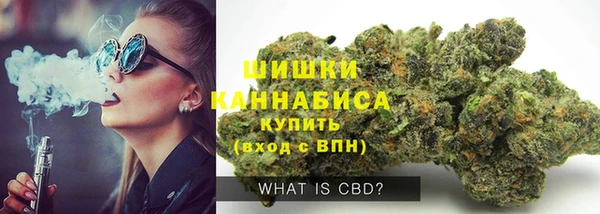 сатива Белоозёрский